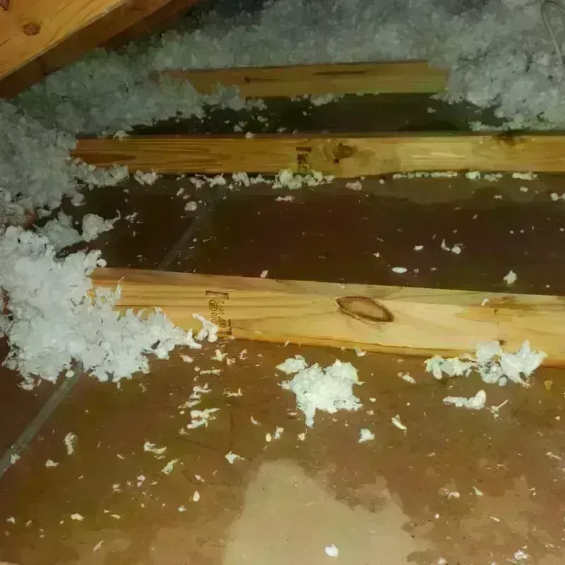 Attic Water Damage in Morristown, TN